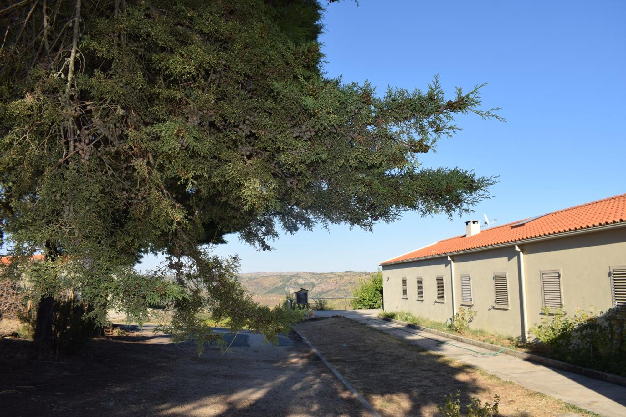 Douro Natura Bemposta  Exteriér fotografie