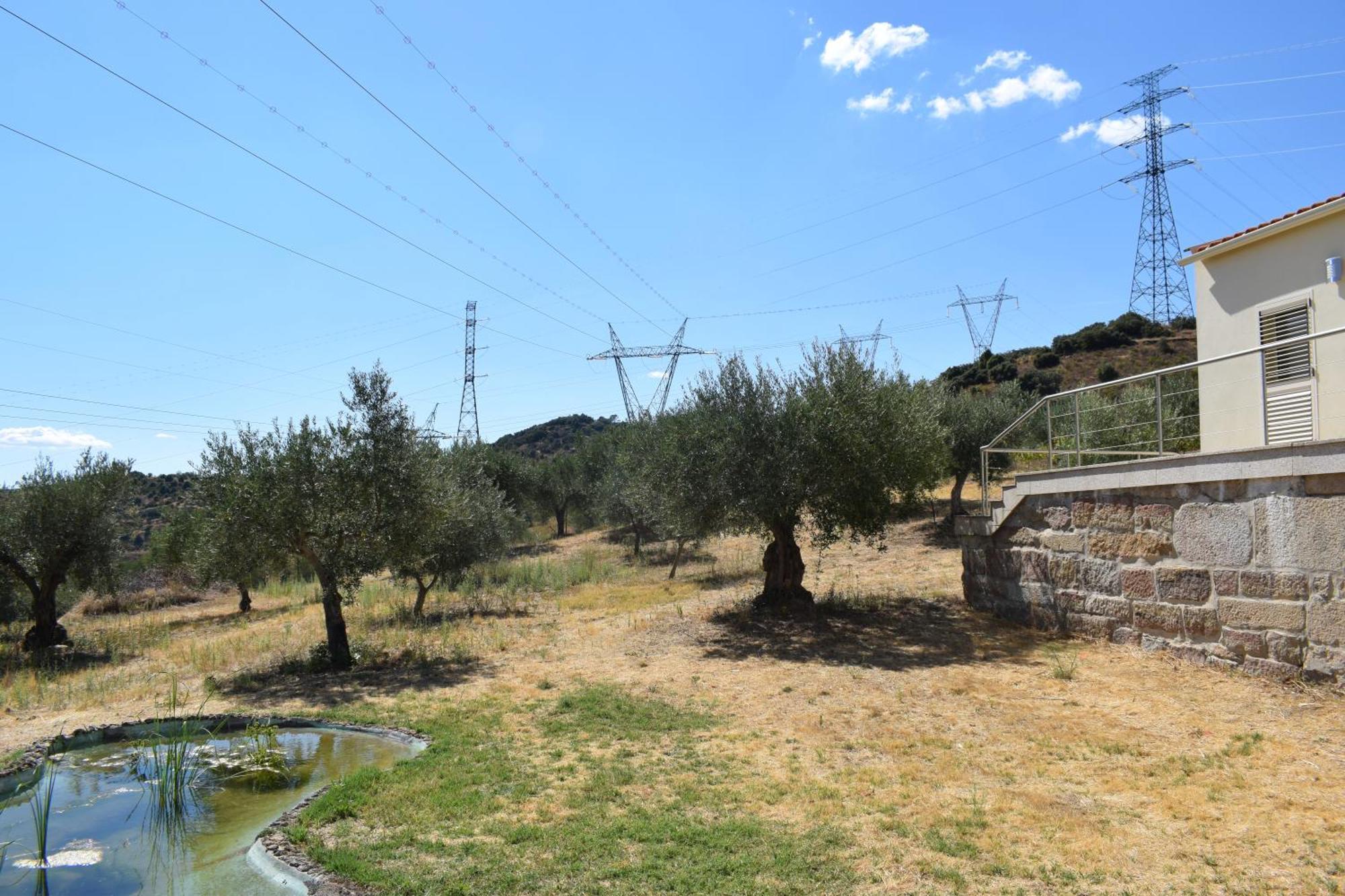 Douro Natura Bemposta  Exteriér fotografie